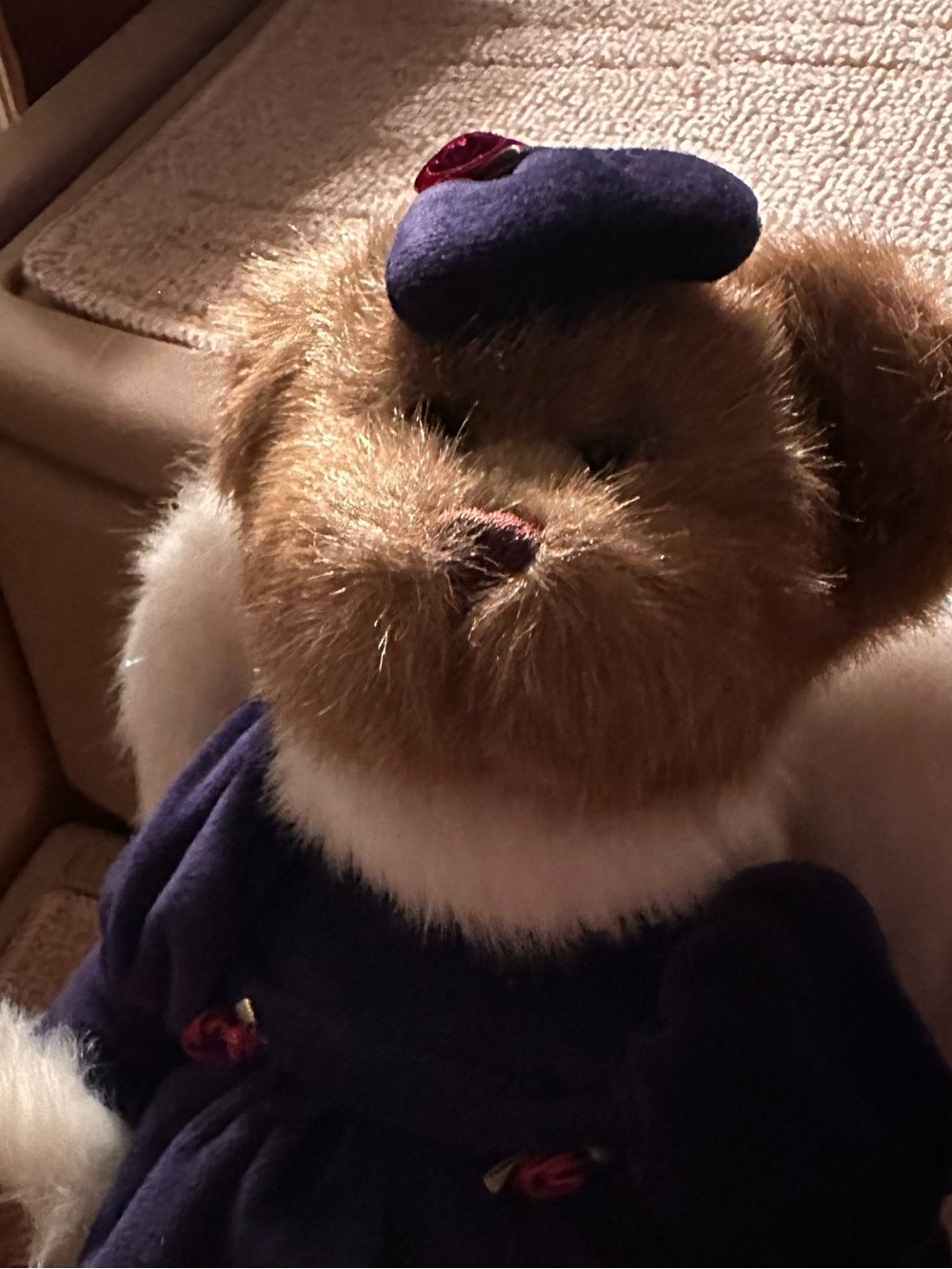 3 Collective Bears - Picture 6 of 7